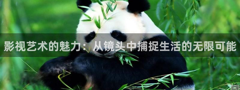 青丝影院电视剧在线观看全集免费