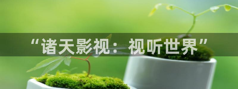 青丝影院电视剧在线观看全集免费